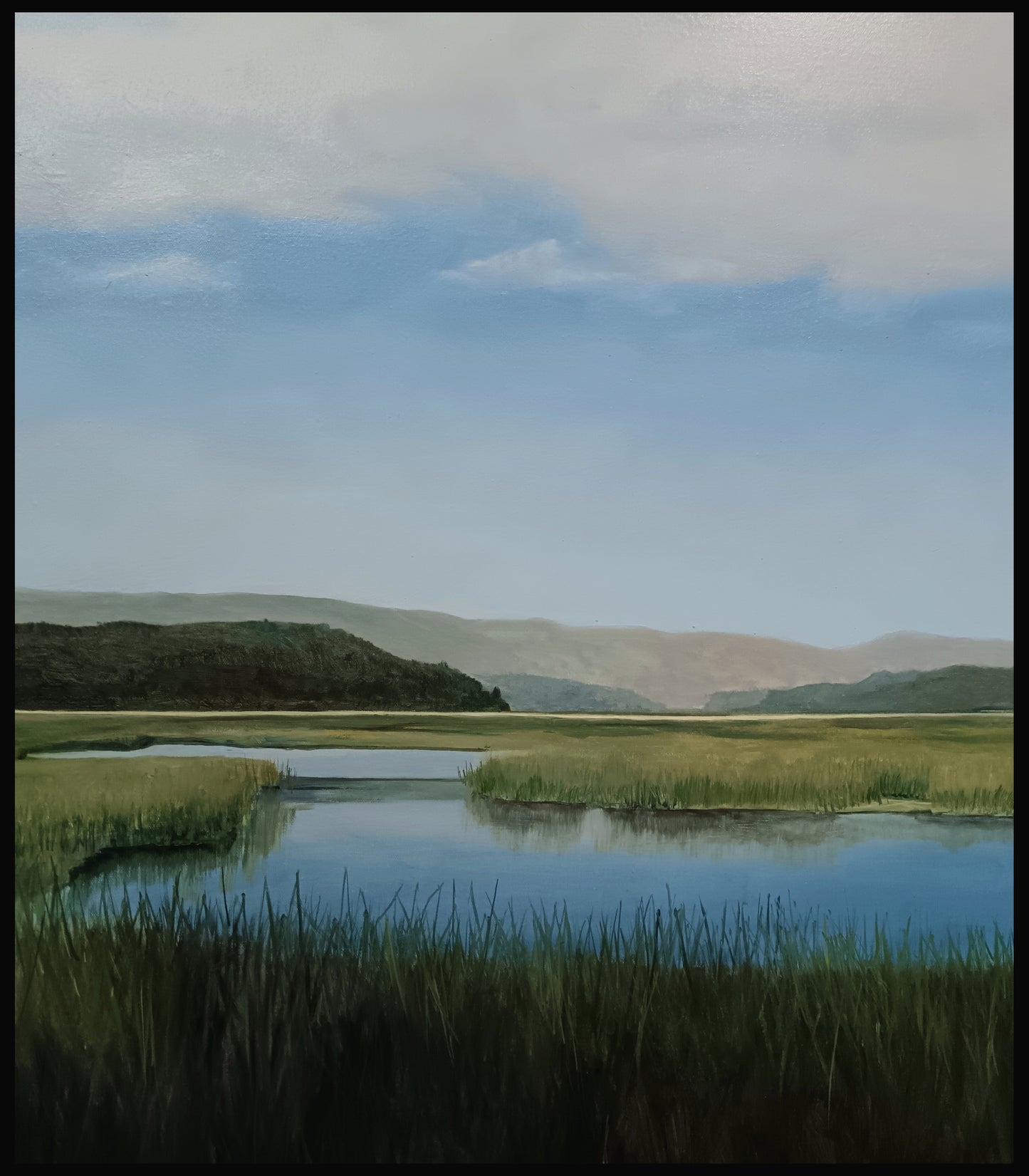 Humedal Santo Domingo II