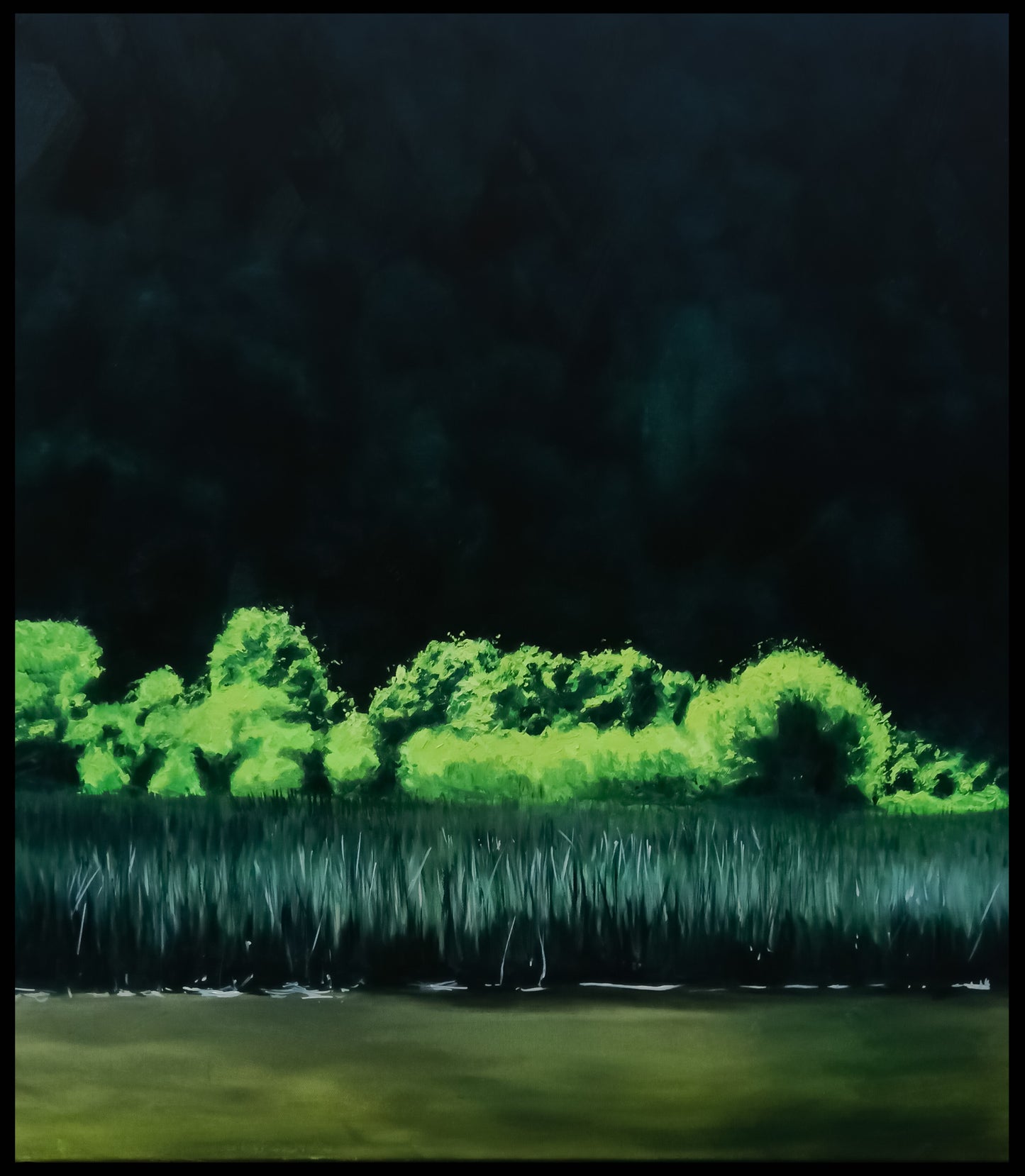 Humedal Santo Domingo III