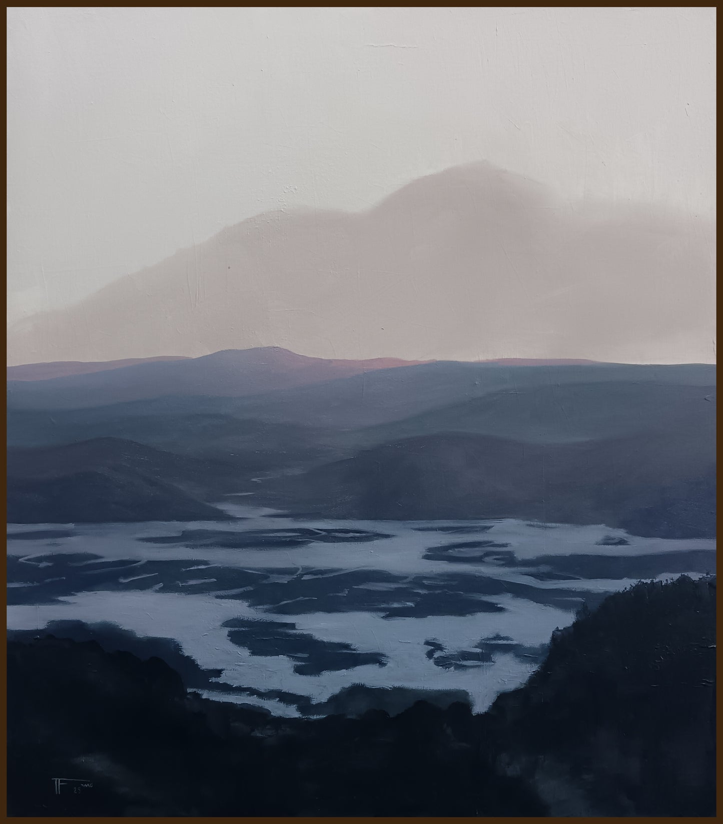 Humedal Santo Domingo V