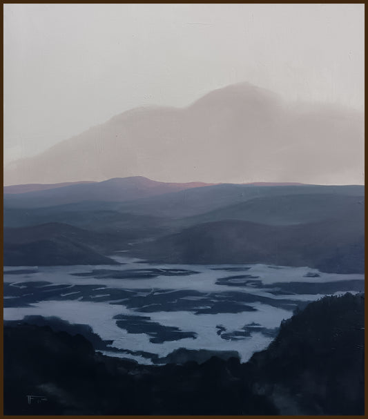 Humedal Santo Domingo V