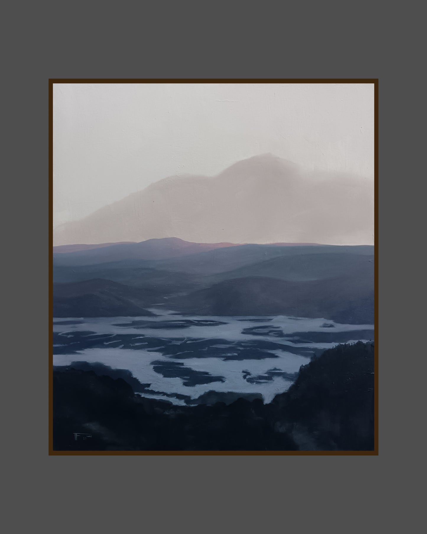 Humedal Santo Domingo V